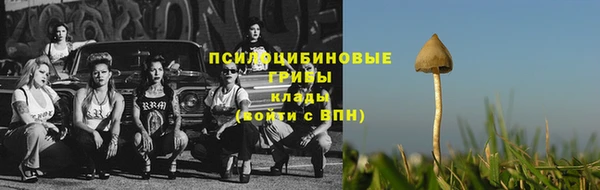 spice Волоколамск