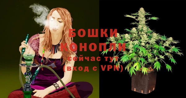 spice Волоколамск